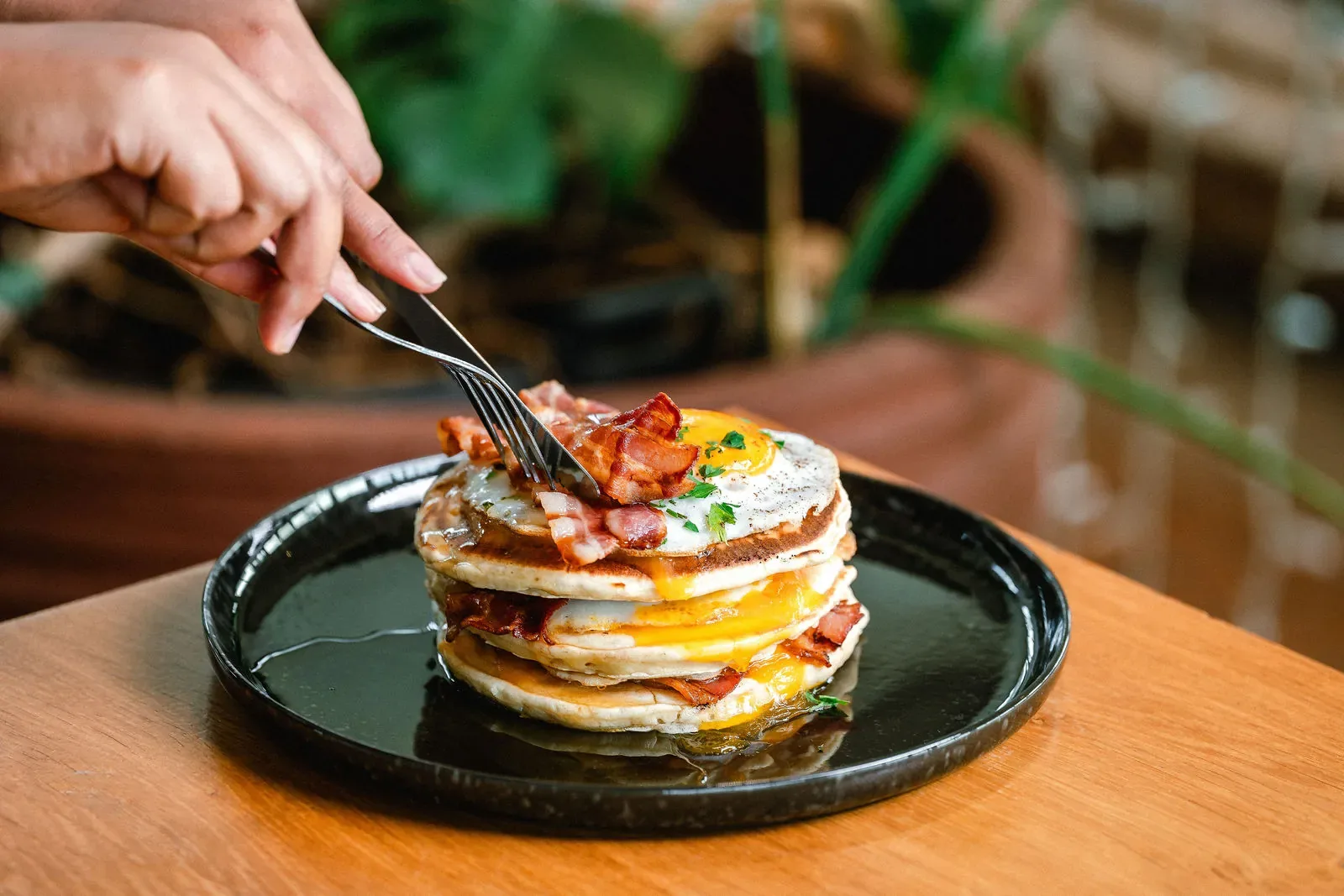 Photographie culinaire